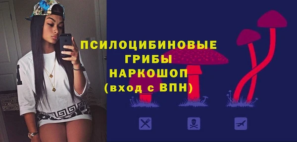 гашик Володарск
